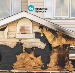 Reinsurance Market Shows No Signs of Returning to Pre-2023 Conditions, Says RenRe CEO