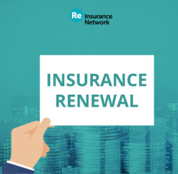 Hannover Re expands portfolio by 7.6% following successful January renewals.