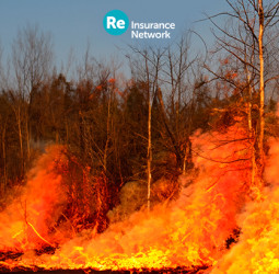 Alternative capital can offer wildfire coverage, but pricing remains a challenge, according to Morningstar DBRS.